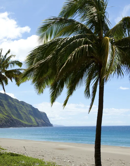 Hawaii Beaches