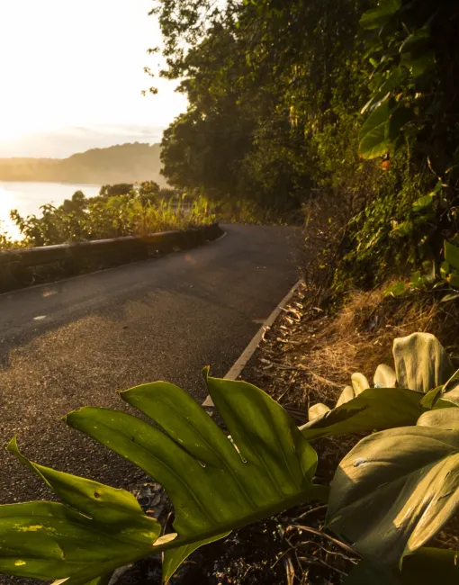 Scenic drive on Maui