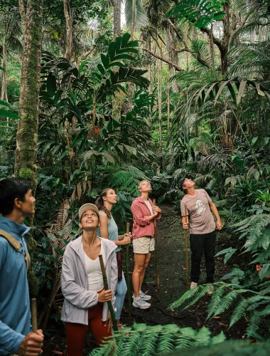 Travelers on a tour at the Kona Cloud Forest Sanctuary on the Island of Hawaiʻi
