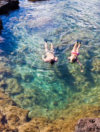 Snorkeling & Scuba