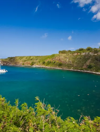 Honolua Bay