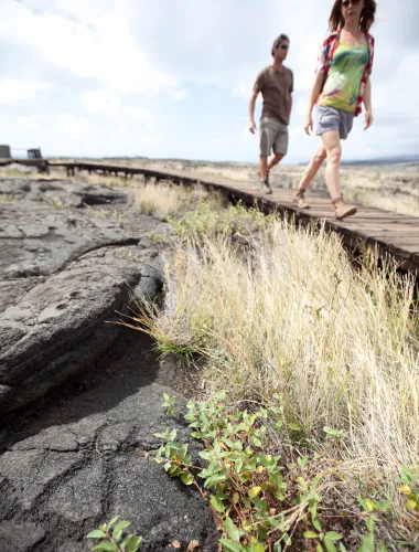 Two people walking on a wooden path