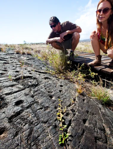 Two people looking at lava fields