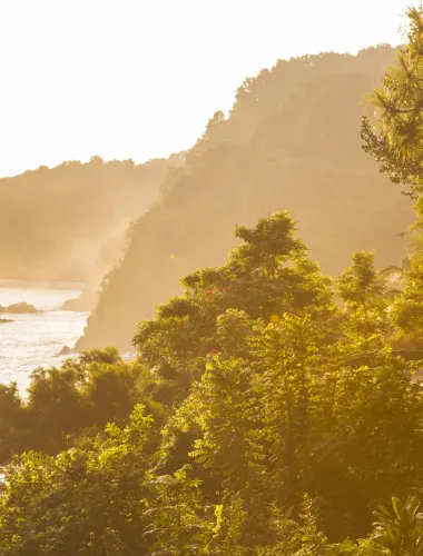Misty coast
