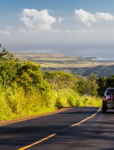Road in Hawaii
