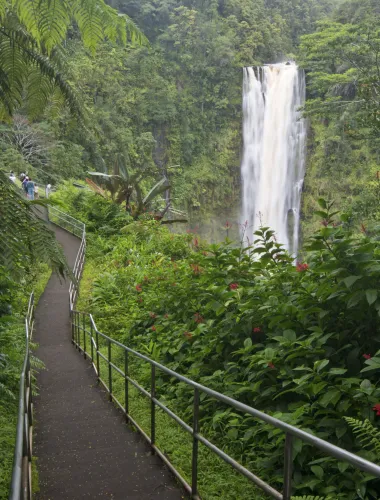A paved path surrounded by lush greenery leading to the majestic Falls.