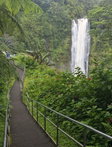 Trail through park in Hawaii
