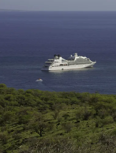 Cruise ship anchored next to the coast