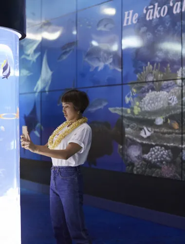 Woman taking picture of fish at aquarium.