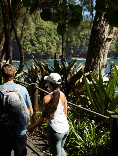 Backpackers hiking through a lush Hawaiian forest trail with towering trees.
