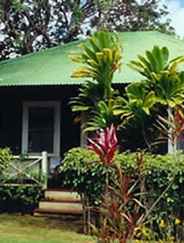 A quaint green-roofed plantation house surrounded by tropical plants.