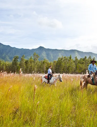 Horseback Riding