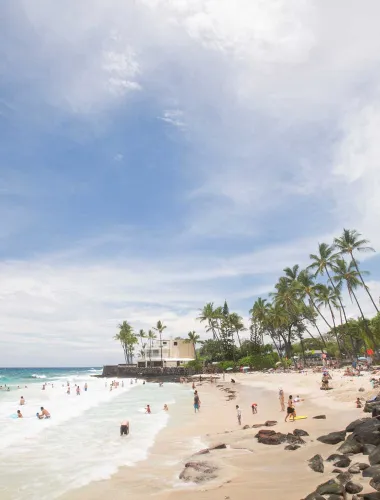 Serene Hawaiian beach with white sand, turquoise water, and palm trees along the shore.