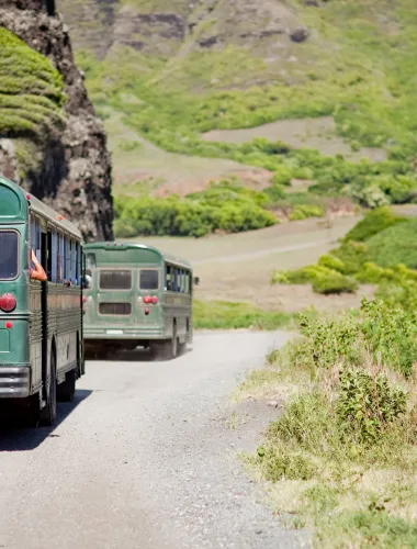 Kualoa Tour Buses
