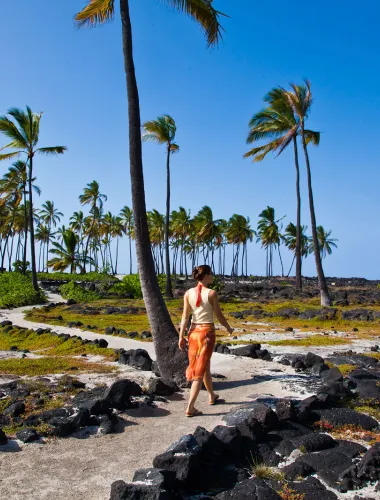 Palm trees lining the historic Puuhonua o Honaunau National Historical Park with a stone wall and coastal views.
