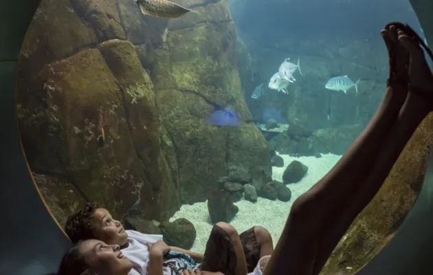 Kids Aquarium in Hawaii