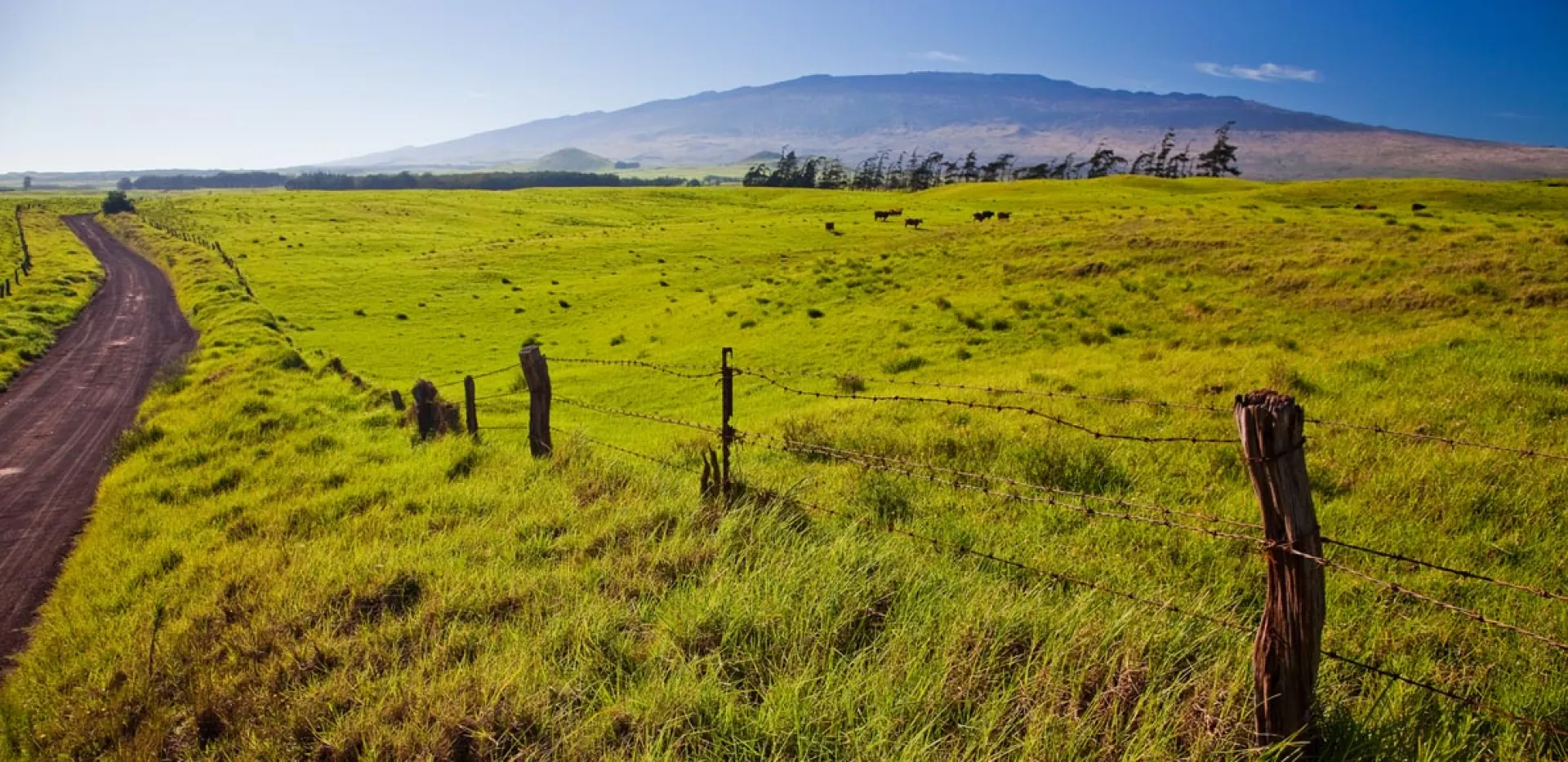 Mele Kaapuni no Keawe Kū i ka Moku