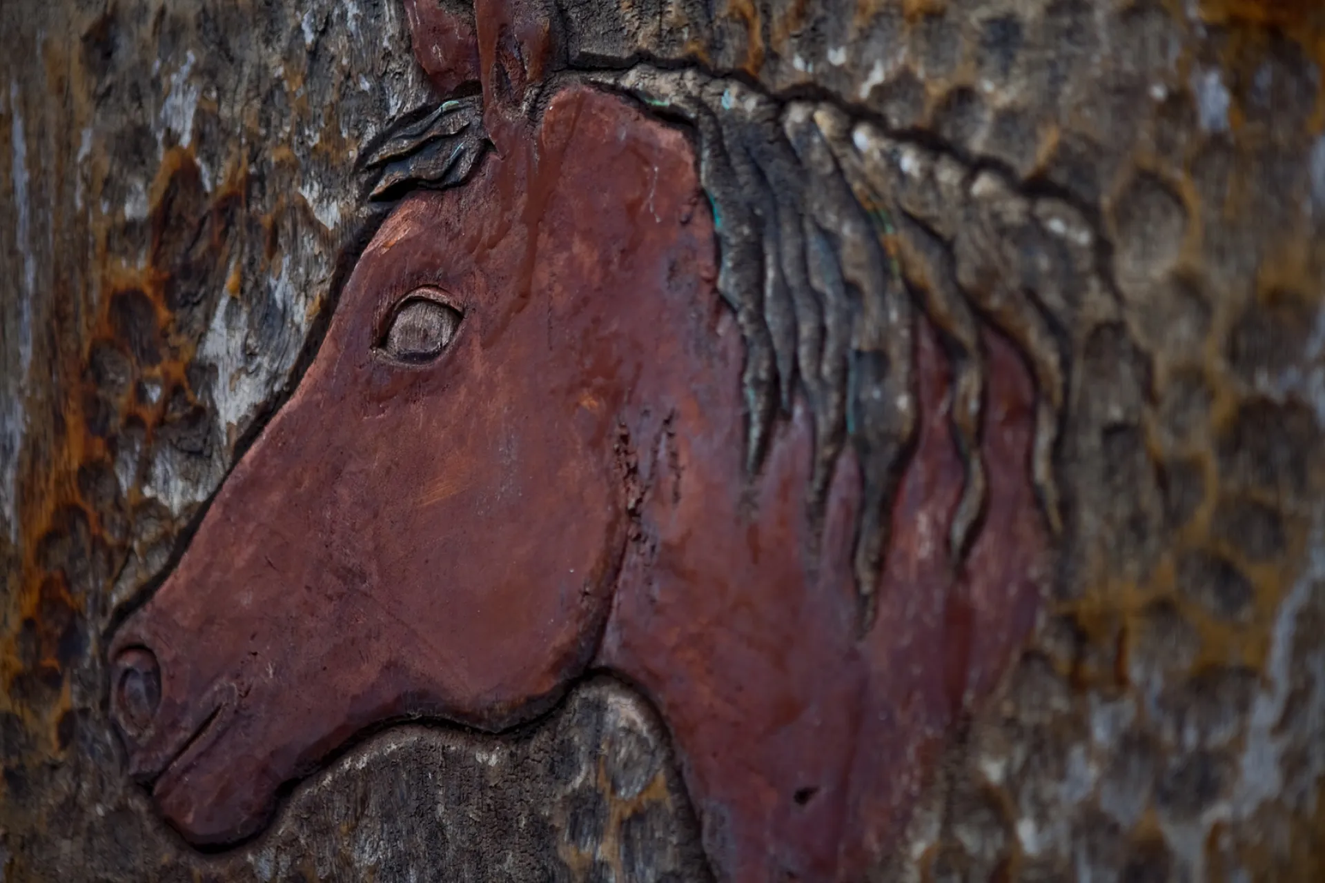 Horseback Riding
