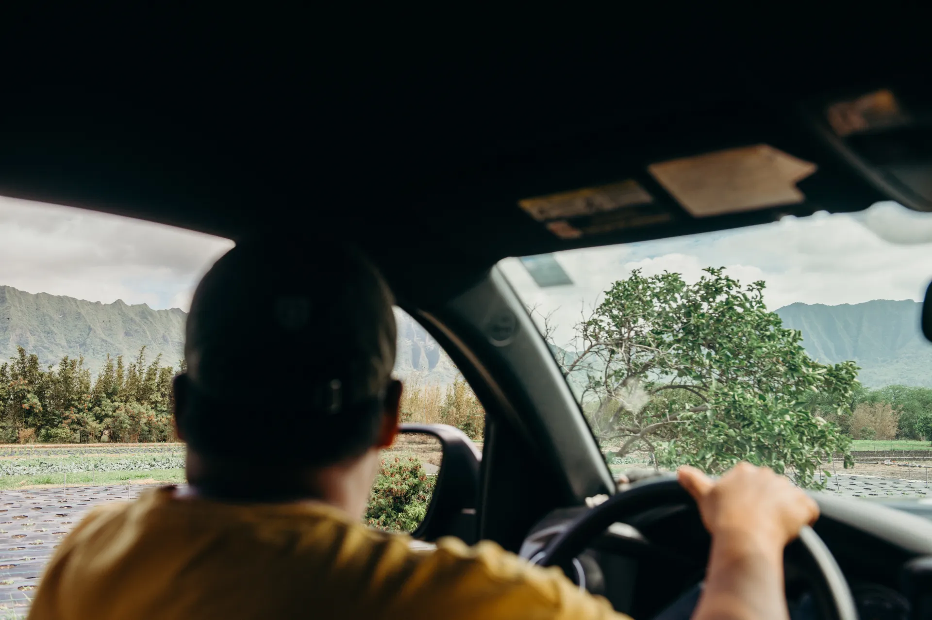 Oahu Rideshares