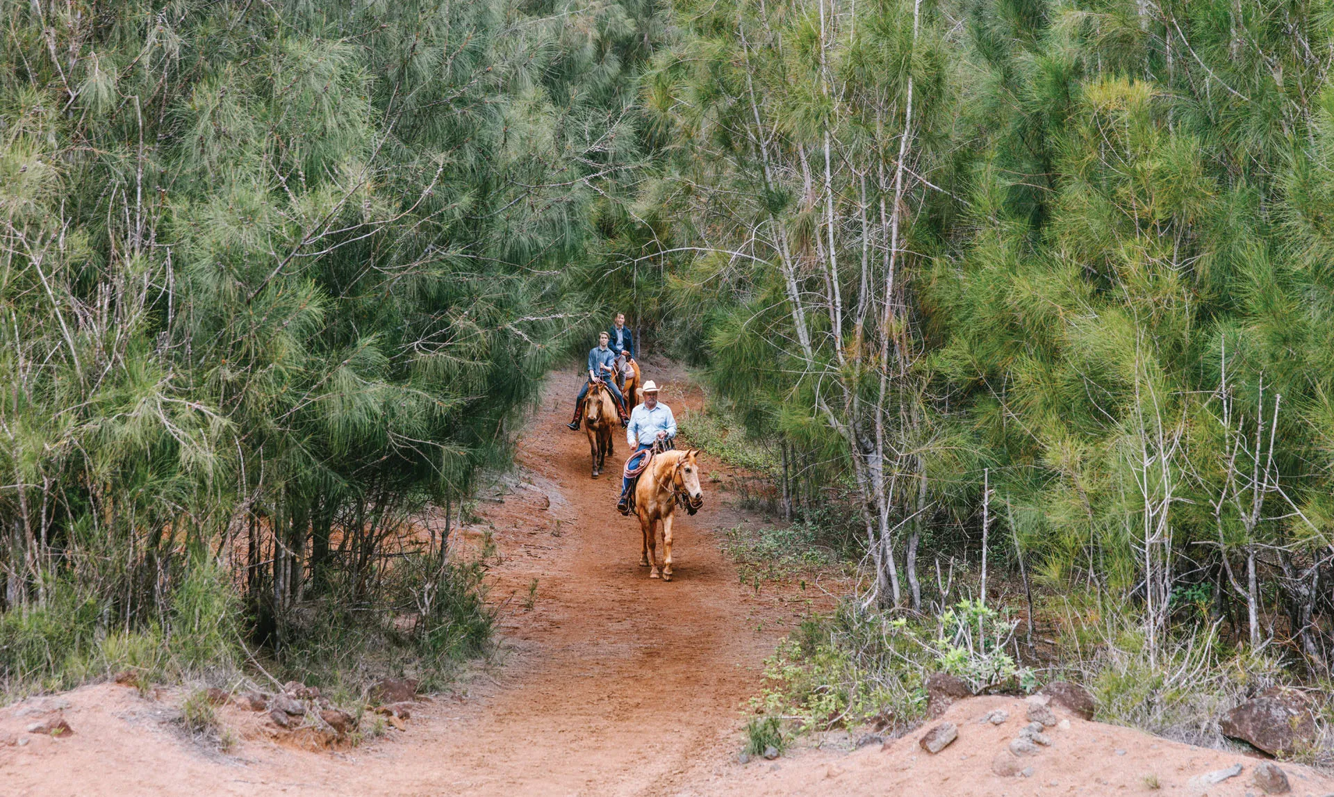 Horseback Riding