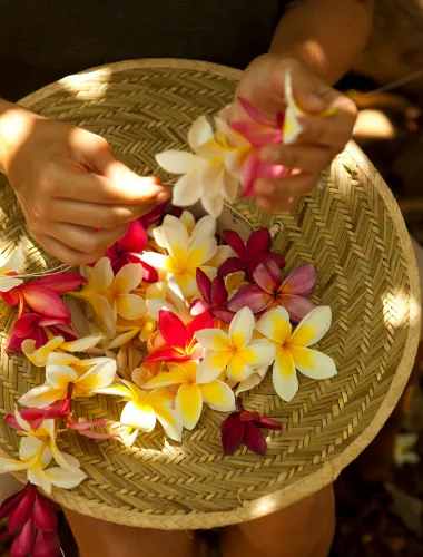Woman threading a plumeria lei on Molokaʻi in Hawaiʻi