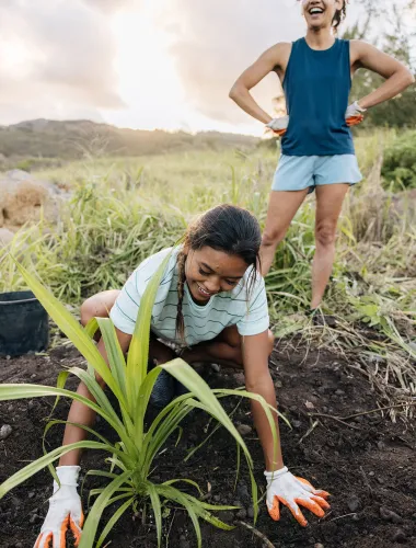 Volunteers planting a hala tree at the Waiheʻe Coastal Dunes on Maui in Hawaiʻi