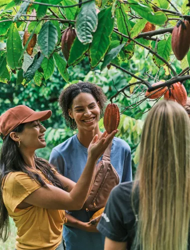 Visitors to the Lydgate Chocolate Farm on Kauaʻi in Hawaiʻi