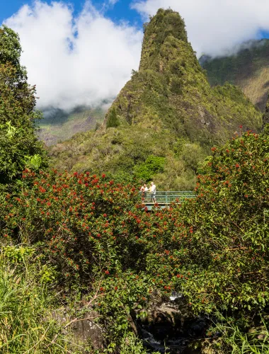 Travelers to ʻĪao Valley State Monument on Maui in Hawaiʻi