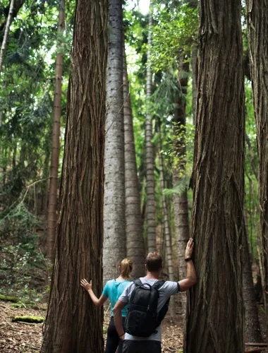 Couple walking the Koloiki Ridge Trail on Lānaʻi in Hawaiʻi