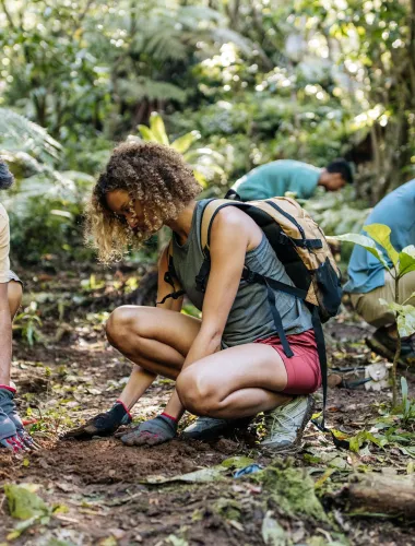Travelers hiking the Mānoa Falls Trail on Oʻahu in Hawaiʻi