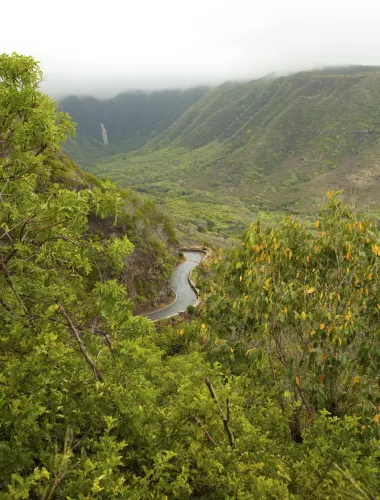 Halawa Valley
