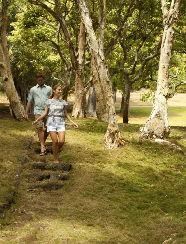 Scenic hiking trail on the Hawaiian island of Lanai