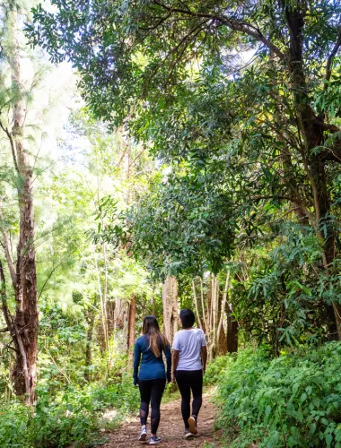Hiking in Oʻahu