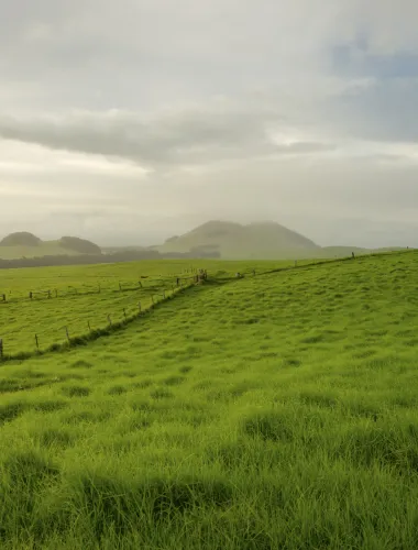 Waimea