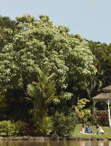 Central Maui