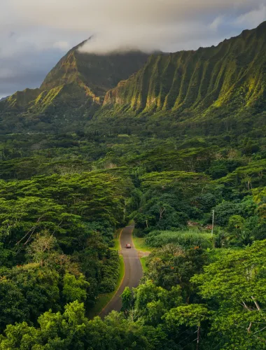  Hoʻomaluhia Botanical Gardens