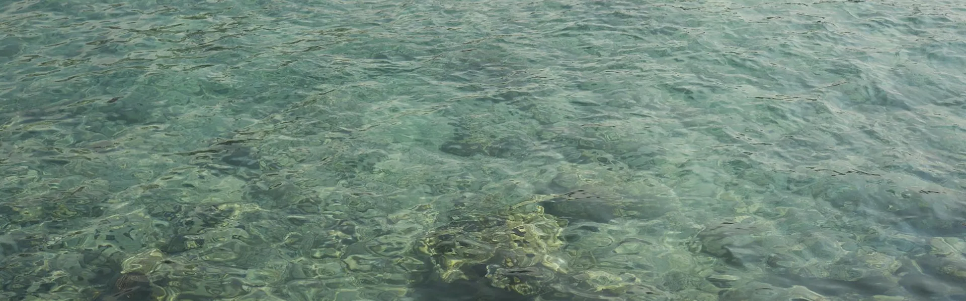 Clear ocean water with rocks and coral at the seabed