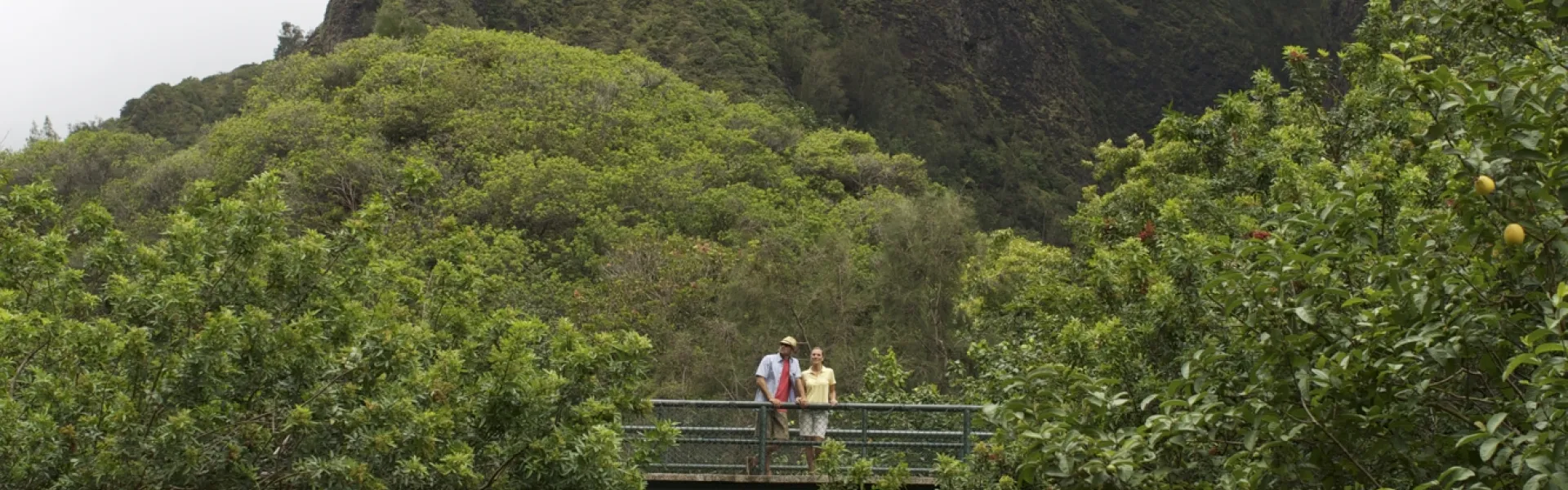 Hawaii Background