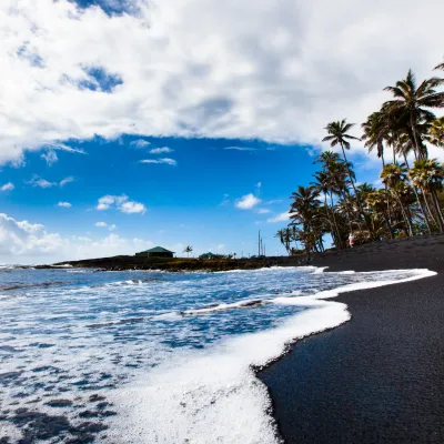 A scenic view of Punalu‘u Black Sand Beach with palm trees, blue sky, and ocean waves meeting the black sand shoreline.