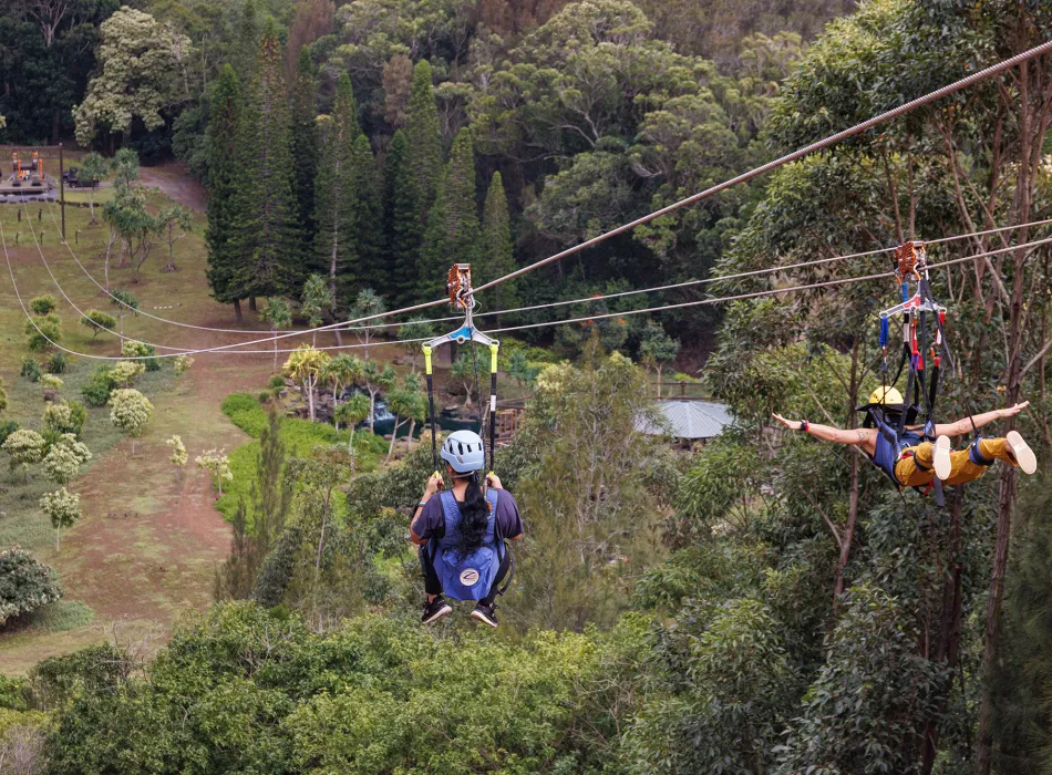 Travelers ziplining at the Lānaʻi Adventure Park on Lānaʻi in Hawaiʻi
