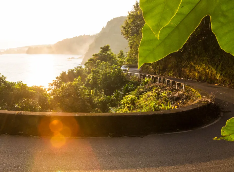 Scenic road in Hawaii
