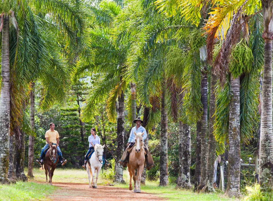 Visitors on a horseback tour on Kauaʻi in Hawaiʻi