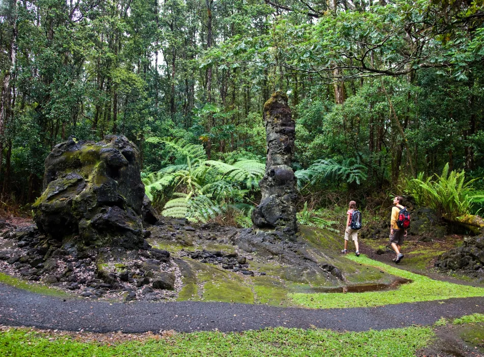 Hikers walking past towering lava tree molds surrounded by dense forest and lush greenery at Lava Tree State Monument.