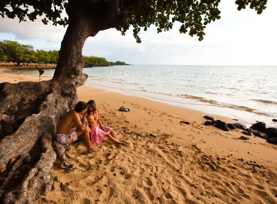 Couple sitting under a tree on a sandy beach, enjoying a peaceful moment by the ocean with lush greenery in the background.
