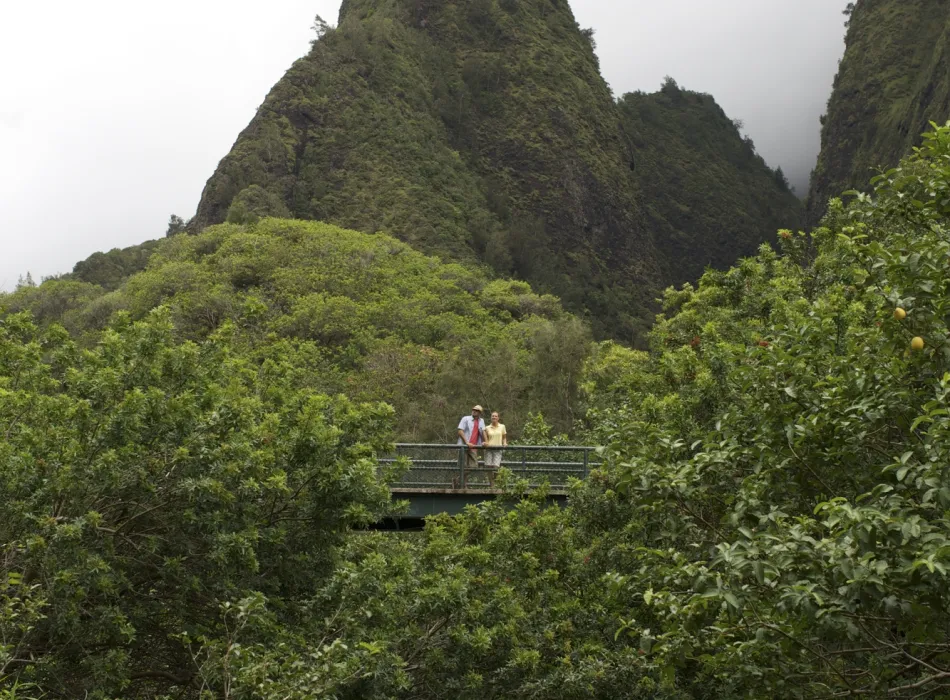 Iao Valley State Park