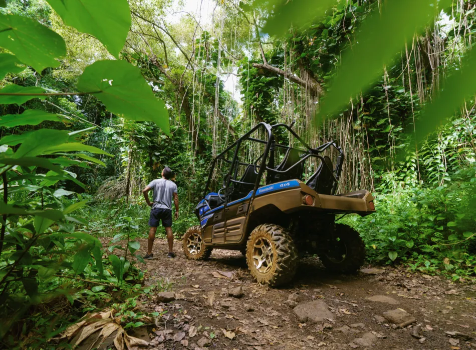 ATV parked in a lush jungle as man stands nearby, surrounded by dense greenery and hanging vines.