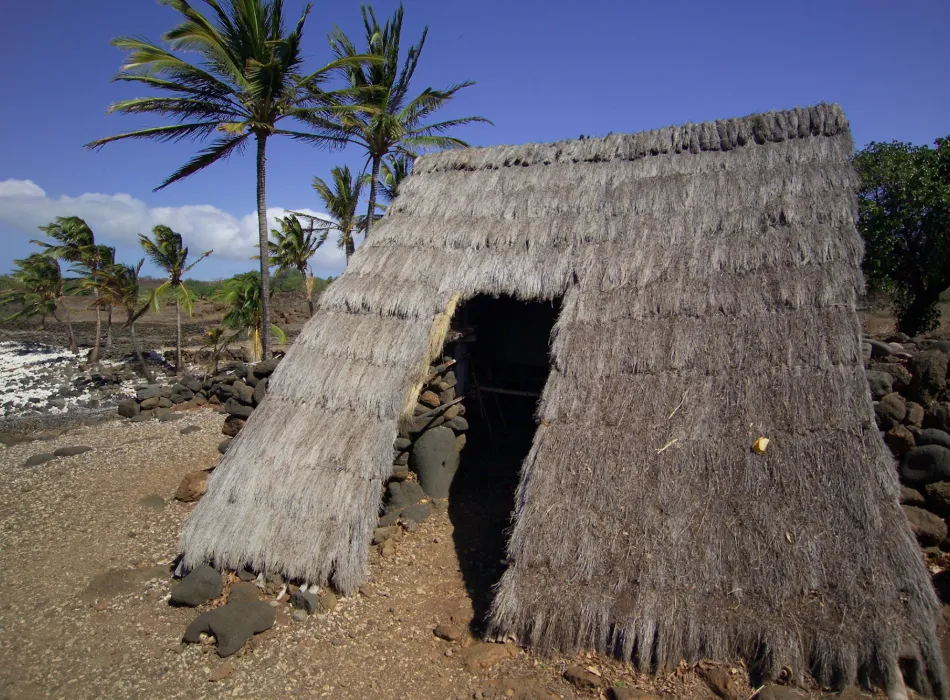 Traditional Hawaiian thatched hut at Lapakahi State Historical Park, surrounded by rocky terrain, palm trees, and a clear blue sky.
