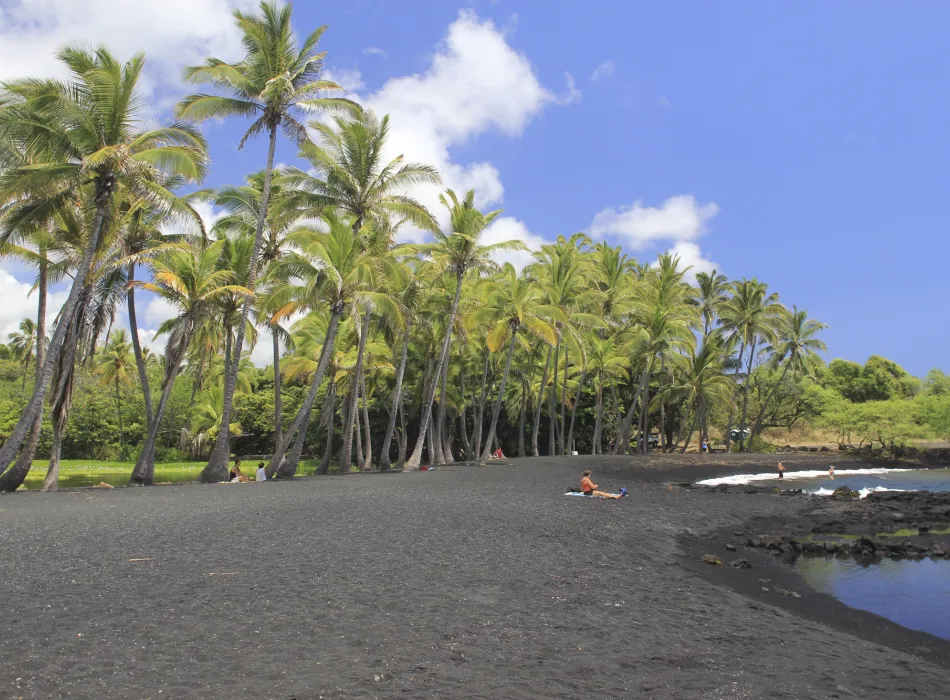 Panoramic view of Punaluu Beach's black sand, surrounded by lush palm trees and scattered beachgoers.