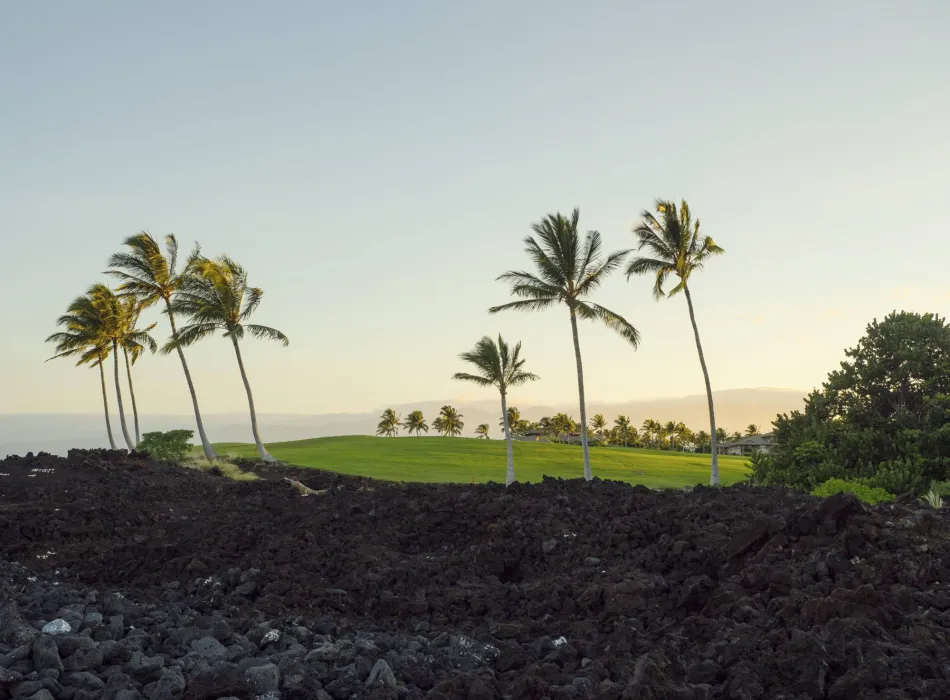 Golf course with lush greenery and palm trees set against a backdrop of volcanic lava rocks and a serene sunset sky.