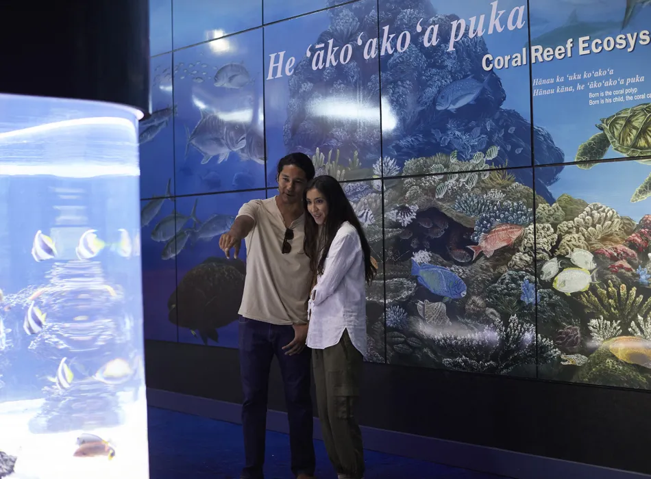 Couple exploring an exhibit at the Mokupāpapa Discovery Center, featuring a vibrant display of coral reef ecosystems.